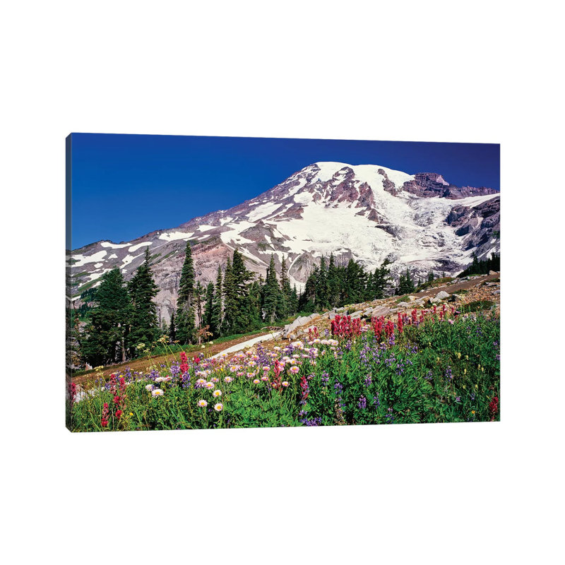 Summer Wildflowers Bbloom in Paradise Park Below Mr. Rainier, Mt. Rainier National Park, Washington, USA 1 Piece Wrapped Canvas Wall Art