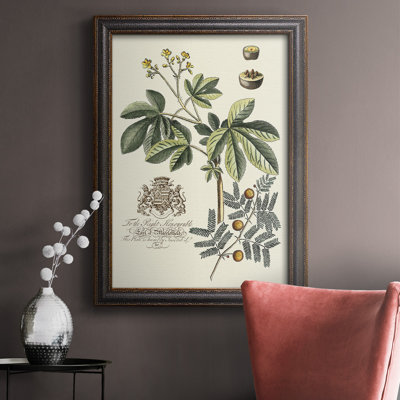 " Imperial Foliage I "