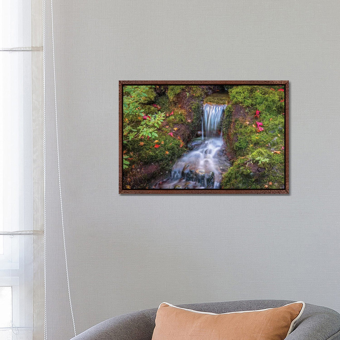 Tranquility Falls von Tim Oldford - Gallery-Wrapped Canvas Giclée on Canvas