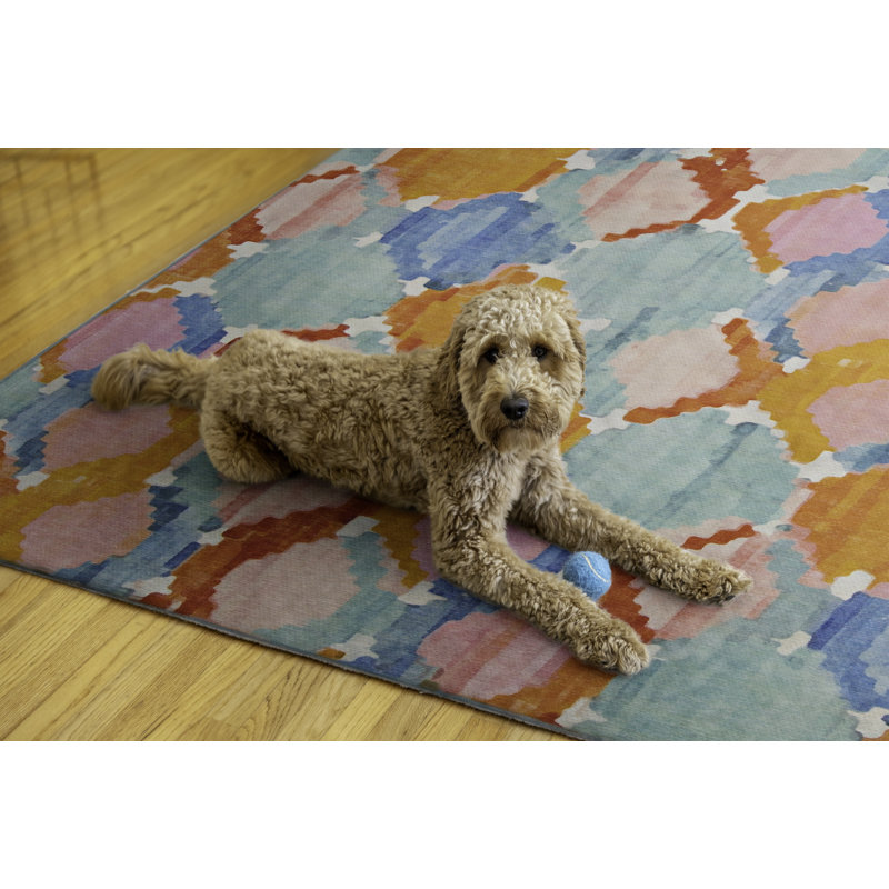 Archie-Lee Kivett Aqua and Orange Indoor Outdoor Machine Washable Area Rug, Rectangle 7' x 9'