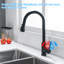Belfry Bathroom Faer Pull Out Kitchen Faucet