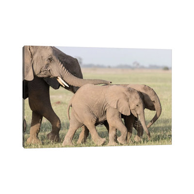 Africa, Kenya, Amboseli National Park. Close-Up of Elephants Walking 1 Piece Wrapped Canvas Wall Art