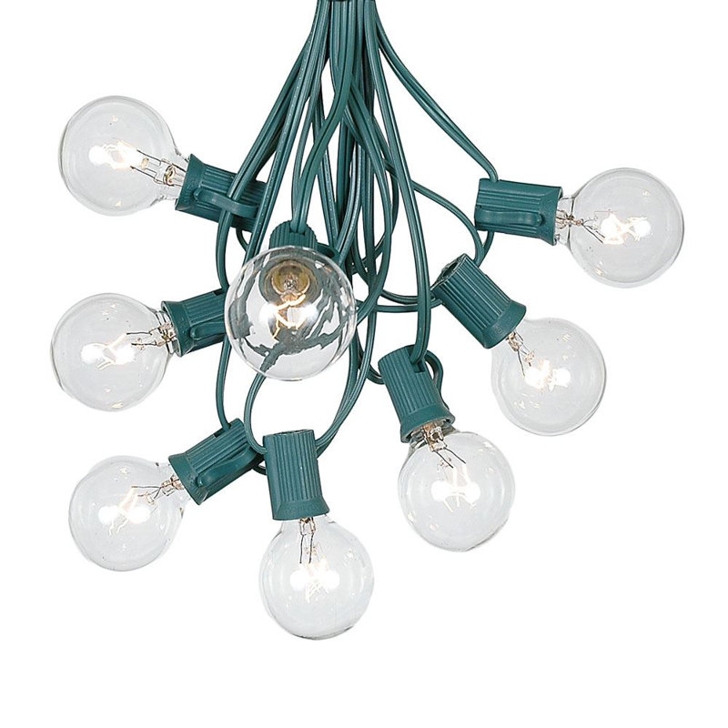25 Feet Clear Globe Outdoor Incandescent String Lights with Green Wire