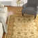 Klose Performance Oriental Rug