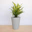 Pot à fleurs vertical rond d'intérieur / extérieur en plastique recyclé Finley-159703178