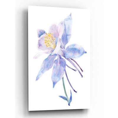 " Columbine Bloom II " by Tim O'Toole