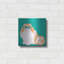 «Blue Persian» par Debbie Gray-960081520