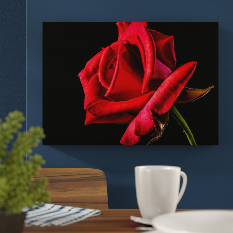 Flower Red Rose - Wrapped Canvas, 50cm H x 76cm W