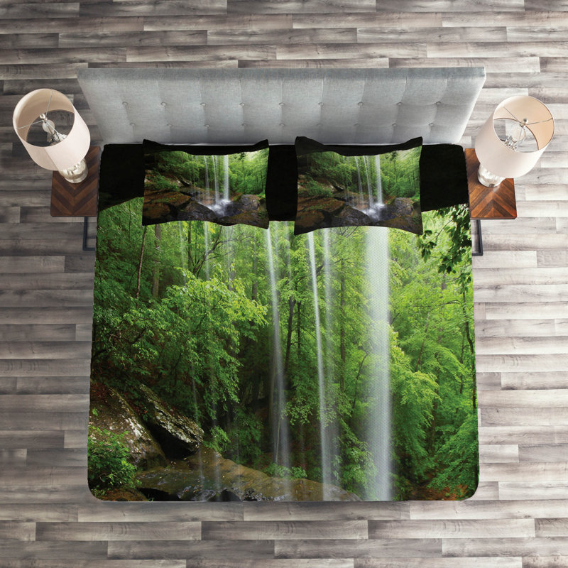 Modern & Contemporary Polyester Coverlet