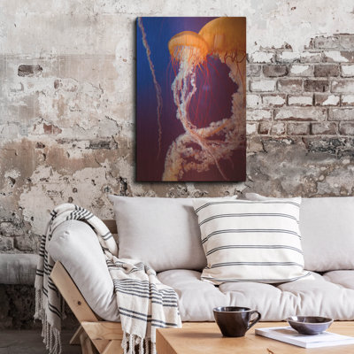 " Jelly 3 " by PhotoINC Studio