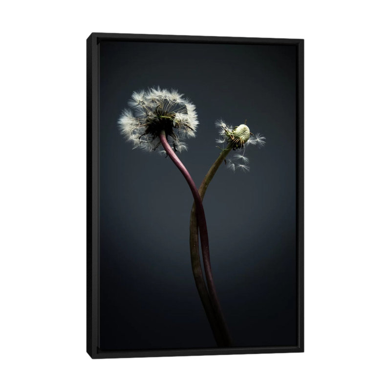 «Tw torsé», impression sur toile, H 26 po x l 18 po x P 1,5 po, Toile avec cadre noir, Pas de tapis