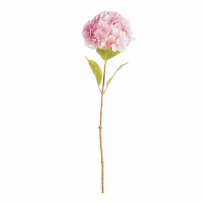TIGES MOPHEAD HYDRANGEA 30,5 po