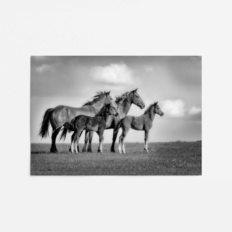 Famille de chevaux sauvages, H 18 po x l 24 po, Sans cadre, Famille de chevaux sauvages