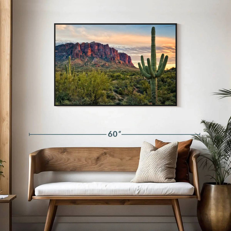 Vue de cactus Alvord II, H 29 po x l 43 po