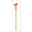 20 pièces de fleurs de lys Calla-945559902