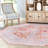 Mcclamma Chenille Oriental Indoor Rug-1183899630