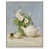 White Frame