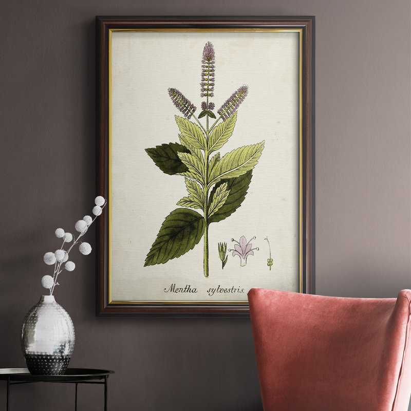 Antique Herb Botanical VI - Peinture sur toile encadrée, H 20 po x l 16 po x P 2,5 po