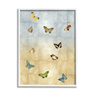 " Various Butterfly Insect Pattern " by Tina Blakely Painting Print