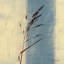«Dancing Grass II» par Tandi Venter - Giclée sur toile tendue avec châssis-20834105-73150207-73150208