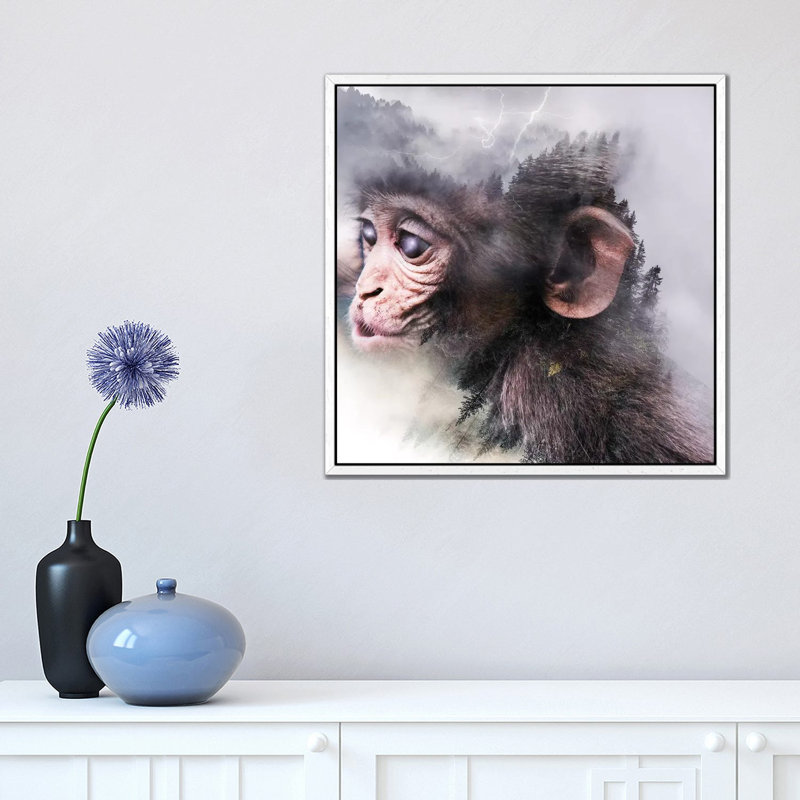 Monkey by Paul Haag - Print on Canvas, 45.72 cm H x 45.72 cm W, White Framed