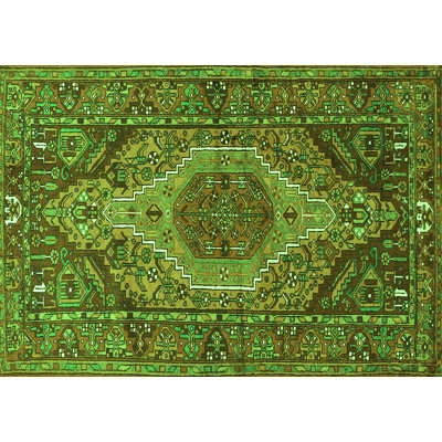 Performance Oriental Indoor Rug