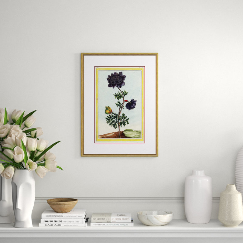 Botanical Giclee Print by Auguster Reger