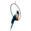 Statue de perroquet Polly au paradis-5821620