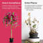 135cm Faux Flowering Tree in Pot