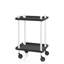 Zeigler Serving Cart-304287184-304287186