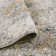 Holly Transitional Abstract Durable Performance Beige/Gray Area Rug