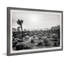 Joshua Trees - Single Picture Frame Print-2035830735
