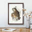 Chestnut-faced Owls by Elizabeth Gould - Picture Frame Painting Print-55536319-55536323