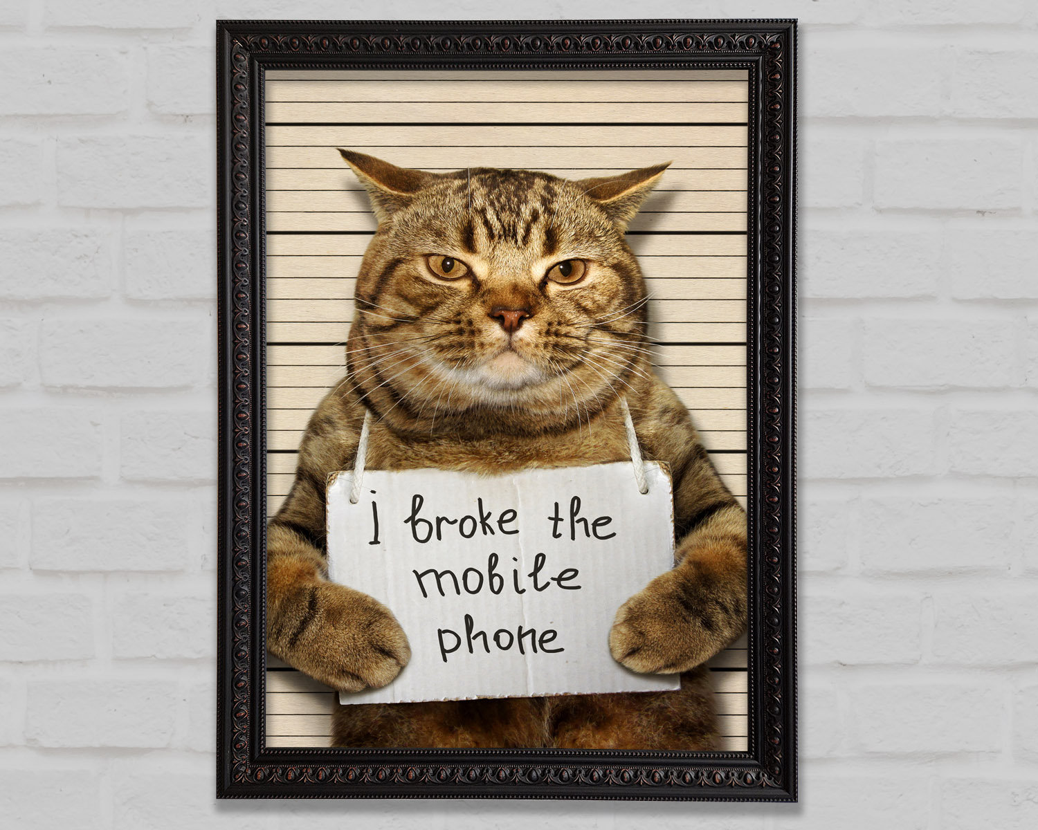 Bright Star Cat Confessing - Print | Wayfair.co.uk
