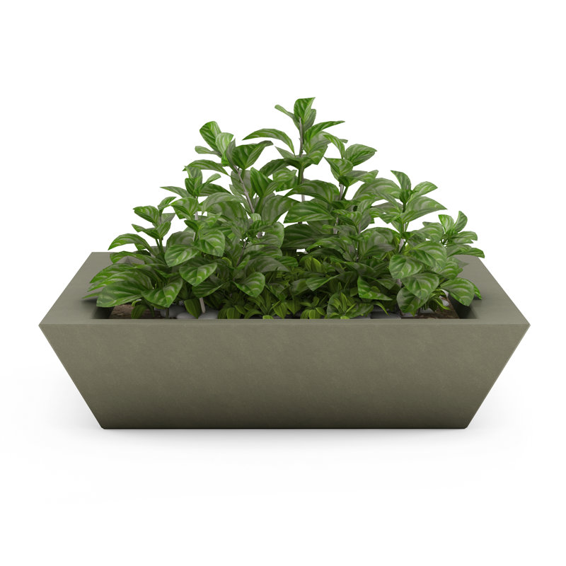 Newport Shallow Concrete Planter , French Gray, 6" H x 24" W x 24" D
