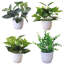 Bonsai artificiel en pot 8,66 "-310995810-318553636