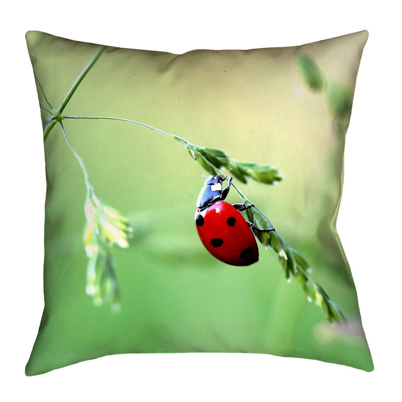 Myriam Ladybug Throw Pillow, 28" x 28"