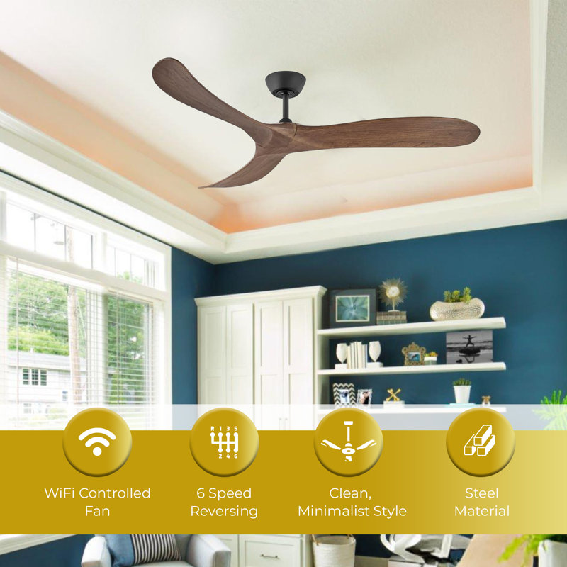 Modern Elegance: ventilateur de plafond 60 po noir mat Swell