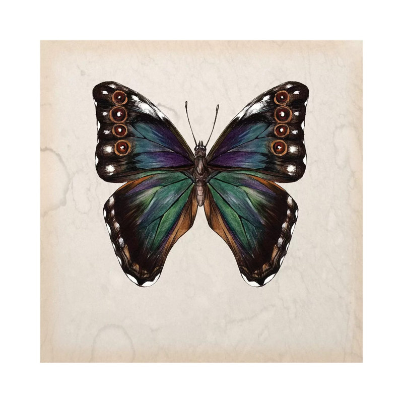 Butterfly Study III by Melissa Wang - Wrapped Canvas Painting, 66.04cm H x 66.04cm W x 1.91cm D
