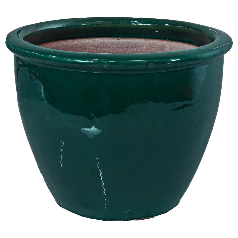 Jardinière extérieure Berlina, H 11,25 po x l 14,5 po x P 14,5 po, Vert foncé