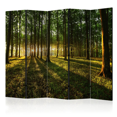 Ethel  Solid Wood Folding Room Divider