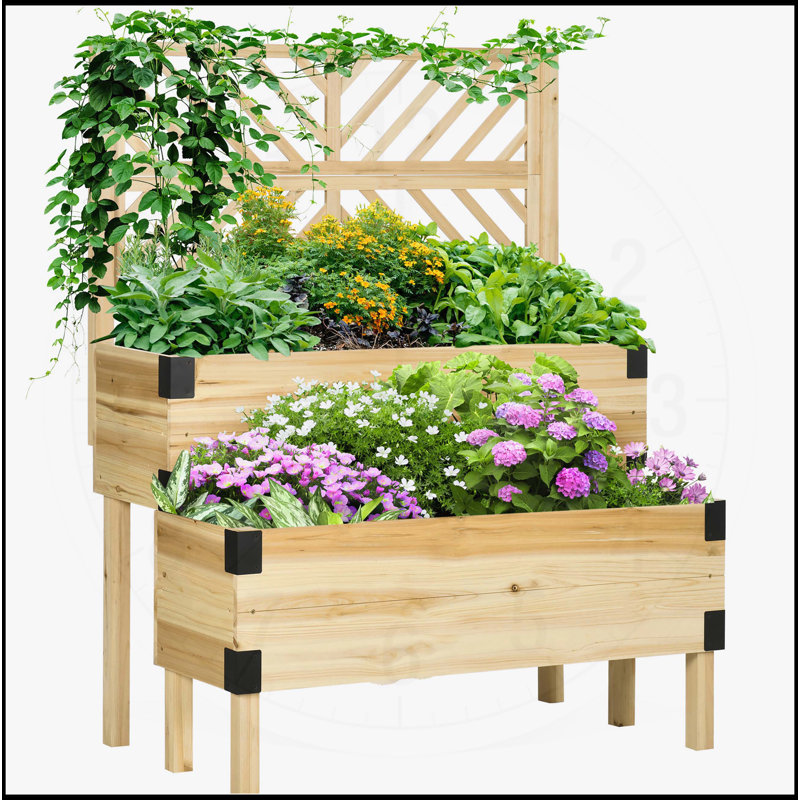 Lit de jardin surélevé avec treillis, 2 niveaux en bois