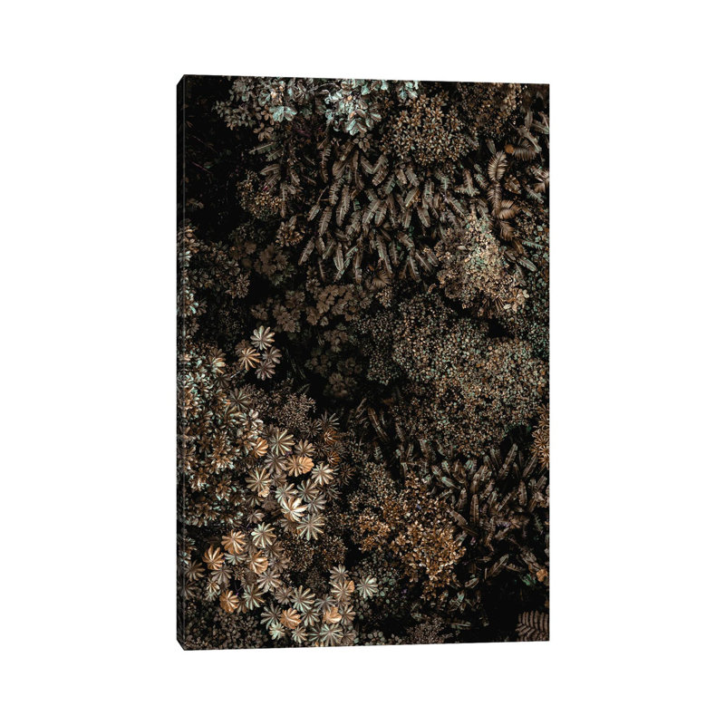 Secret XI by Design Fabrikken - Wrapped Canvas Print, 20.32 cm H x 30.48 cm W
