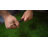 Bronze Low Voltage Solar Powered Integrated LED Metal Pathway Light Pack