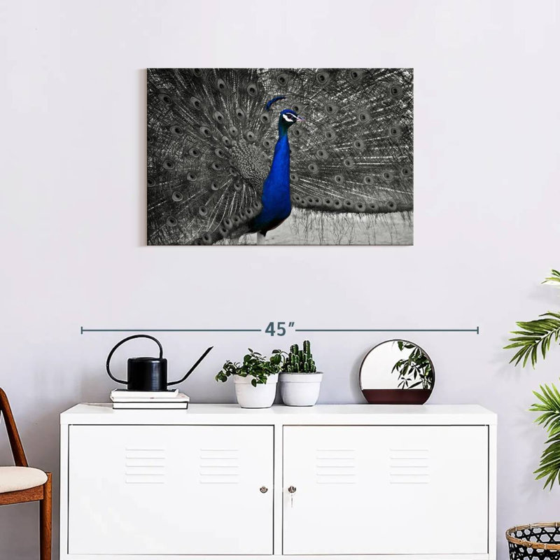 Brampt Peacock Pop, 20" H x 30" W