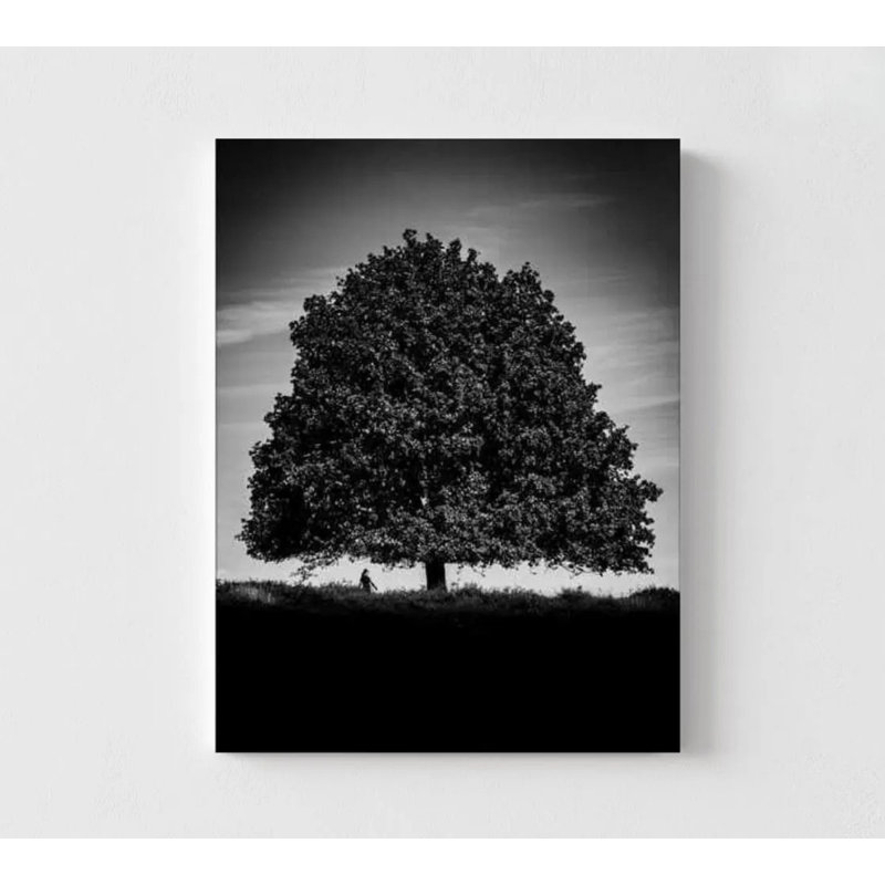 «Lone Tree», reproduction murale minimaliste en noir et blanc, H 12 po x l 16 po, Ne s’applique pas, Ne s’applique pas