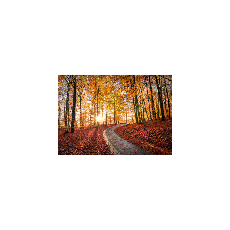 Wrapped Canvas Print, 50.8cm H x 76.2cm W