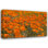 Art sur toile tendue par Latitude Run® Peterson, Lee, California Poppies I