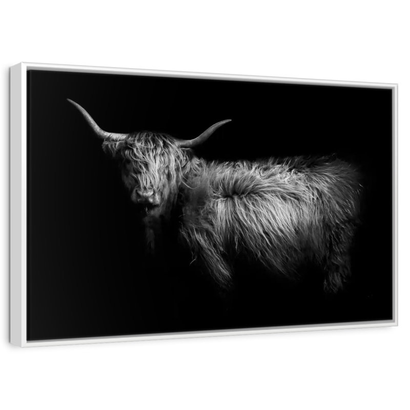 Hello Highland Cow, Cadre flottant blanc, 37 po x 25 po