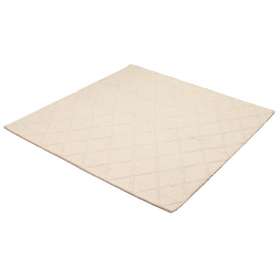 Iagulli Performance Hand Braided Wool Rug